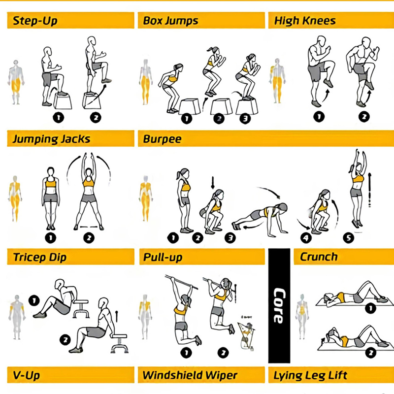 Workout-Übungsdiagramm Poster, – Sports Equipment Poster Bewertung und Preis